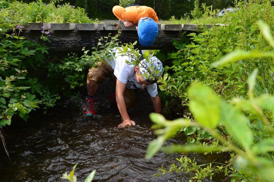 Två barn i skogen, ett barn ligger på en bro över bäcken, det andra barnet kryper under bron i vattnet
