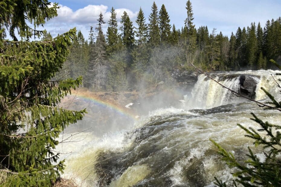 Upplev våren i Åre 