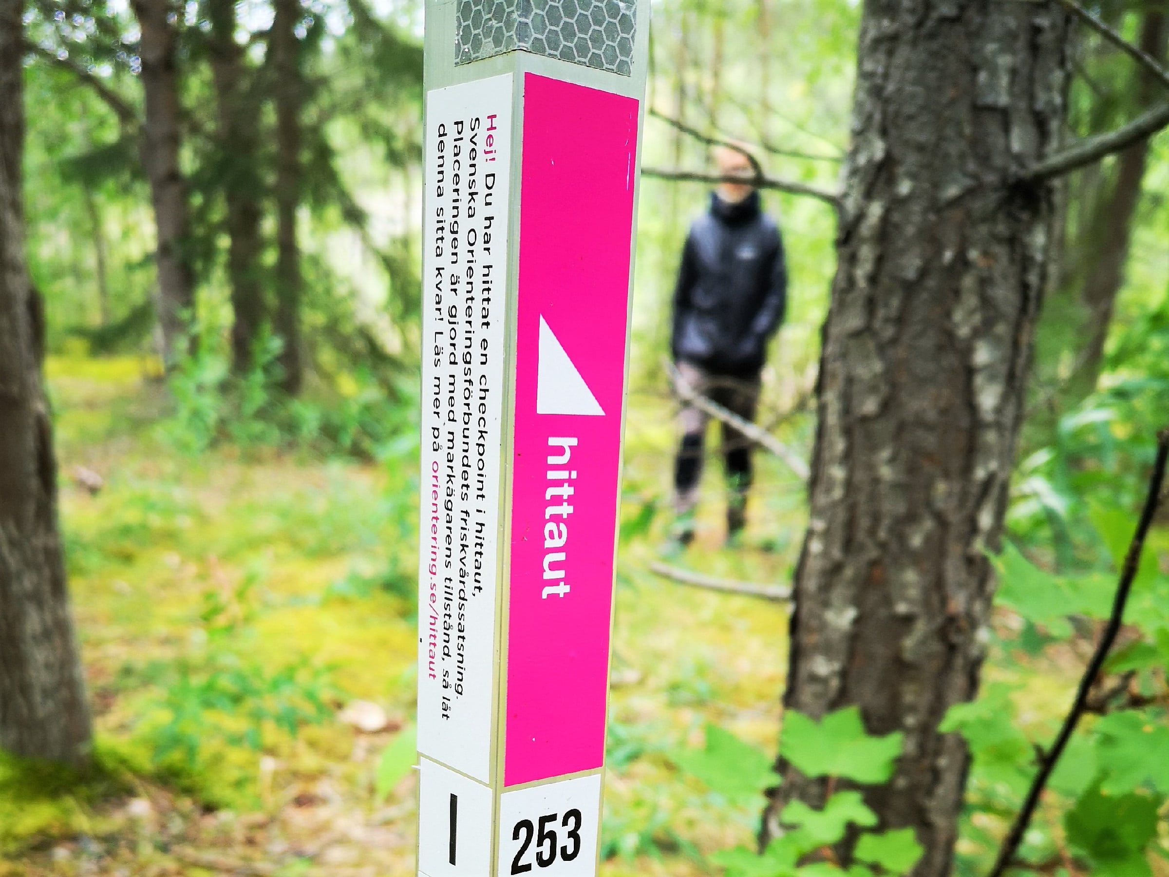 Orienteringskontroll i skogen från hitta ut