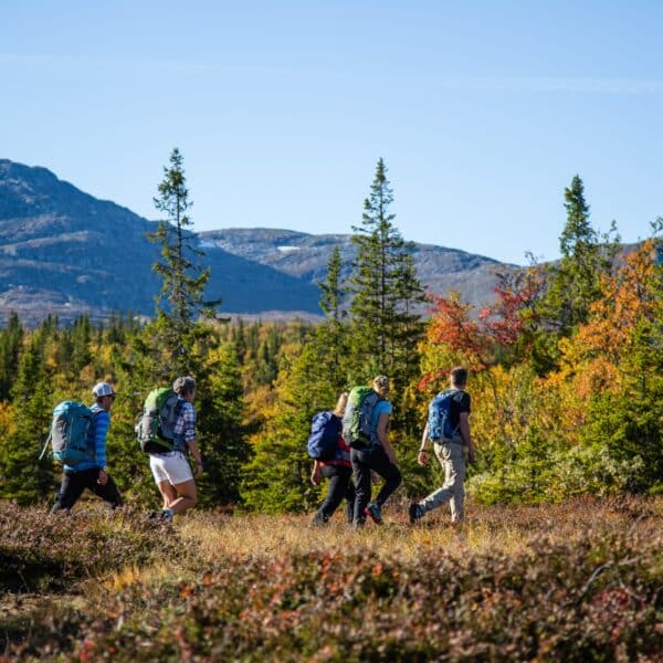 Vandringstur på fjället med 5 personer i grupp
